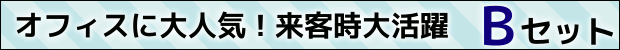 キューリグ Kカップ Bセット