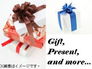 【のし対応】ギフトラッピング【商品と一緒にお入れください】