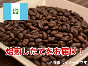 【販売終了】【コーヒー豆】グァテマラSHB (生豆時105g×3袋)
