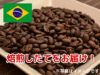 【コーヒー豆】プレミアムショコラ (生豆時105g×3袋)