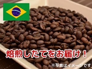 【コーヒー豆】ブラジルサントス (生豆時105g×3袋)