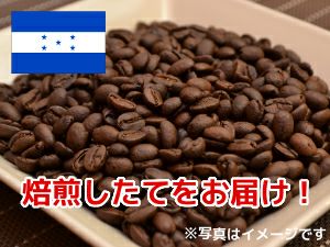 【コーヒー豆】ホンジュラスSHG (生豆時105g×3袋)
