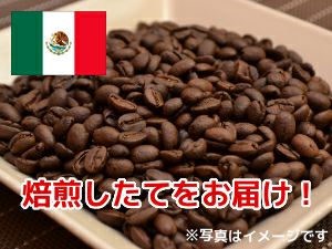 【コーヒー豆】メキシコマヤビニック（無農薬無化学肥料） (生豆時105g×3袋)