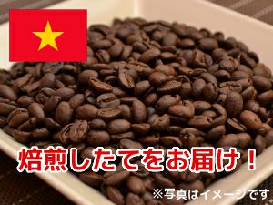 【コーヒー豆】水出しアイス・ベトナム(生豆時105g×3袋)(水出しアイスコーヒー器具専用)