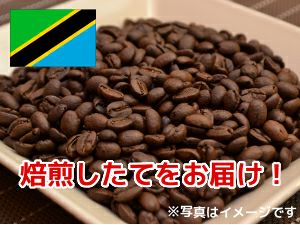 【販売終了】おうちで簡単！水出しコーヒー入門セット