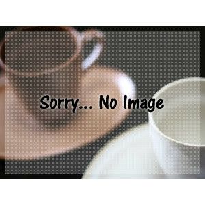 【販売終了】【oji/オージ】ウォータードリッパー WD-300RS（Silver model）