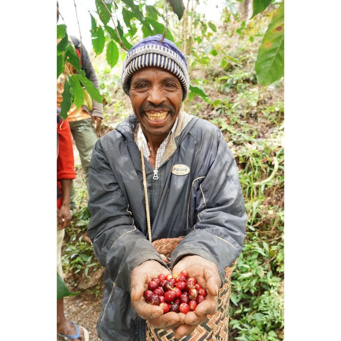 【コーヒー粉】【アジアのコーヒー】レギュラーコーヒー 東ティモール 1ケース（200g×20袋） 粉