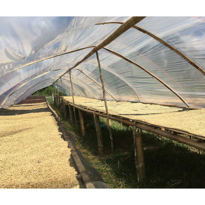 【コーヒー粉】【アジアのコーヒー】レギュラーコーヒー ラオス 1ケース（200g×20袋） 粉