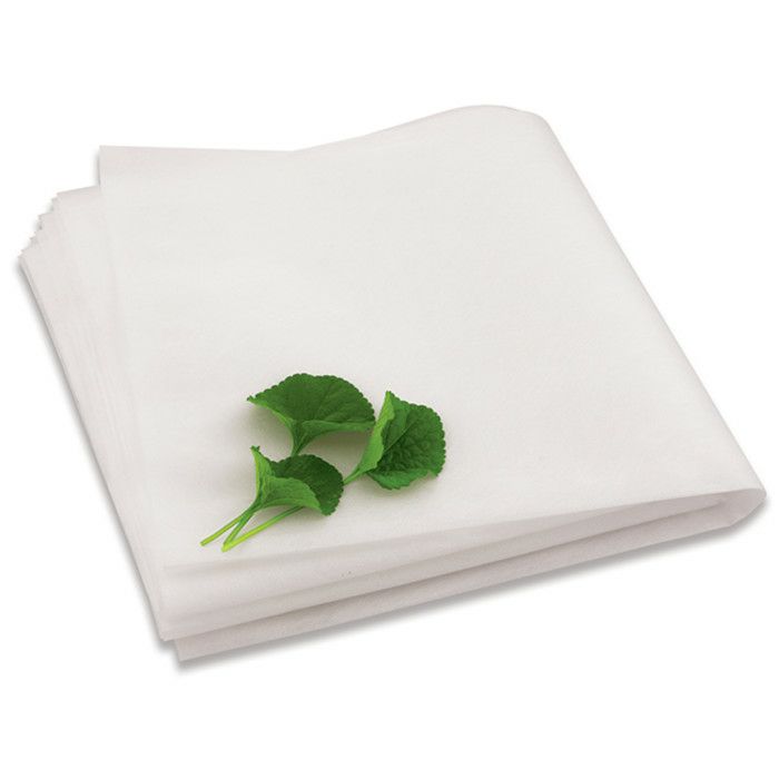 Toddy Cold Brew カッピングキット Tree Freeペーパーフィルター（50枚入り） TCKTF50