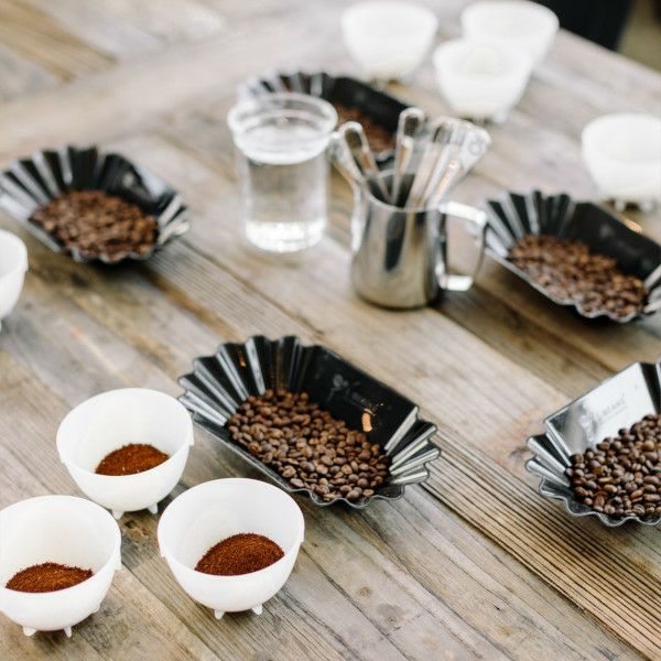 Barista Hustle Cupping Bowl（24個入り） 3002WH75