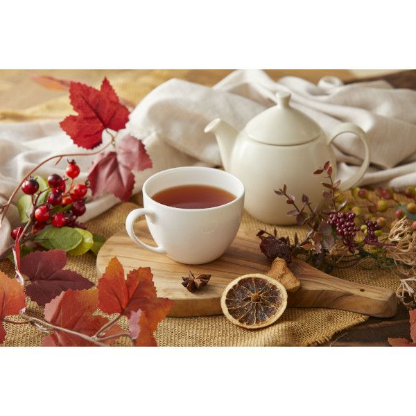 【Tokyo Tea Trading】 Mug&Pot オーガニック ルイボスティー 2208