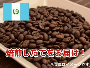 【コーヒー豆】グァテマラ ゴールデンバレンシア (生豆時105g×3袋)