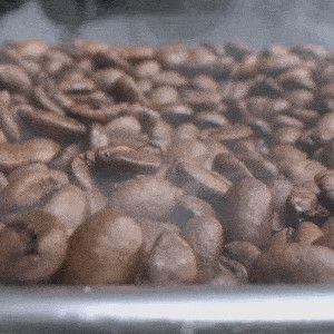 【販売終了】Sandbox スマートロースター＆冷却器セット