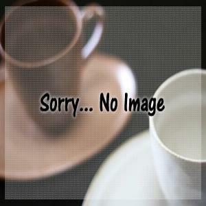 【訳あり・返品交換不可】Coffee House Collection 8oz. カップ【アウトレット】