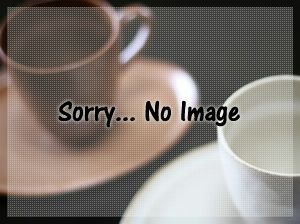 【UCC/DRIPPOD】DP2用フィルター