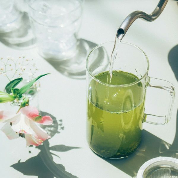 【ハリオ】Glass Tea Maker 実用容量400ml 透明