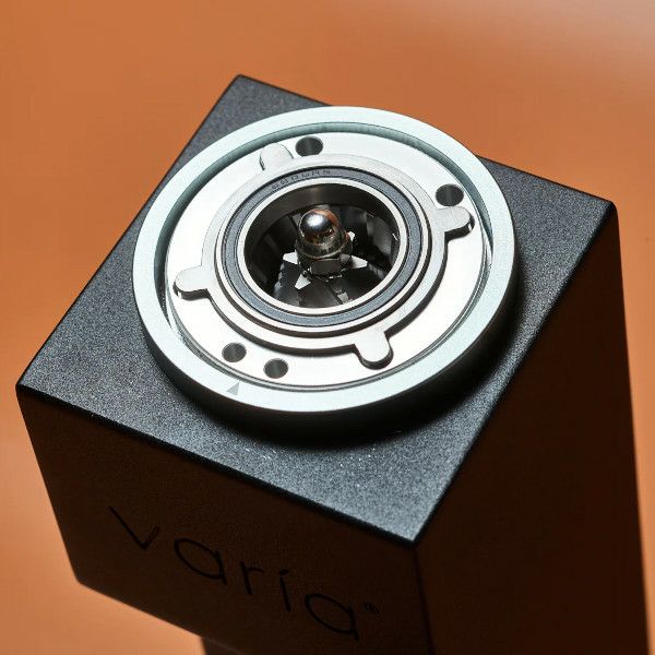 【Varia】Burr Stainless Steel（第二世代 ・VS3専用替刃・ステンレス）