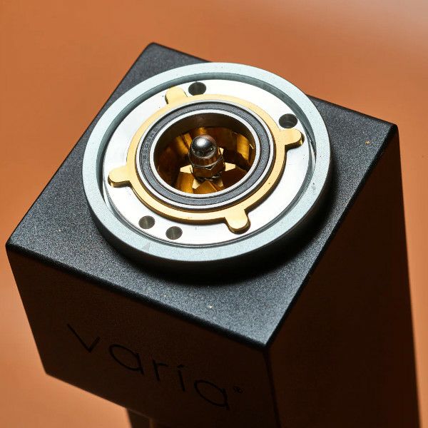 【Varia】Burr Gold Titanium （第二世代 ・VS3専用替刃・ゴールド）