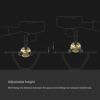 【Nucleus】 Paragon Espresso Ice Rock 6個入り NUC-010